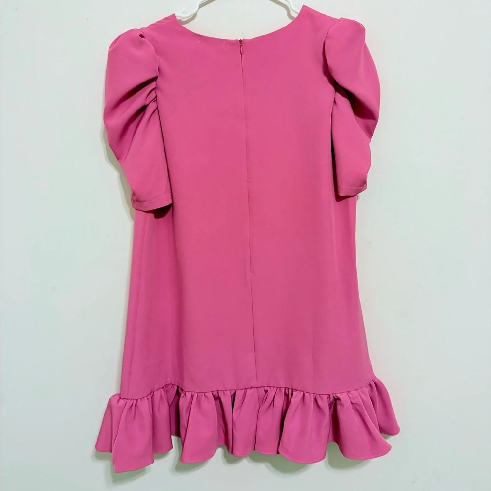 Lida Kate Pink Puff Sleeve Ruffle Hem Mini Dress | Size L | NWT - Picture 7 of 9